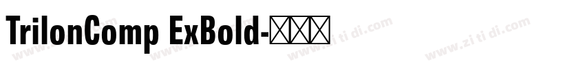 TrilonComp ExBold字体转换